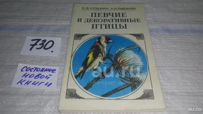 Декоративные птицы на стену. Панно купить в интернет-магазине Ярмарка  Мастеров по цене 100 ₽ – SGCVGBY | Элементы интерьера, Челябинск - доставка  по России