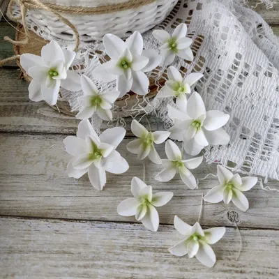 Декоративные цветы из ткани "Гортензии Дуболистные" (Pastel Flowers),  белые, 12 шт купить в интернет-магазине скрапбукинга в Москве - Stuff4Scrap