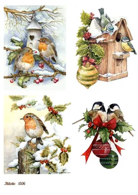 Салфетки для декупажа птицы купить в Запорожье Украине иллюстрация №477  33х33 см | Завиток