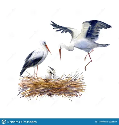 Рисовая бумага для декупажа карта А4 салфетка 0482 птицы гнездо винтаж  крафт DIY | AliExpress