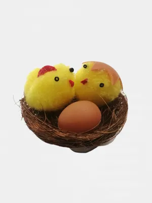 Пасхальный декор Гнезда с яйцами, разноцветные, 7 см, набор 5 шт. – купить  в Казани | «С Нежностью»