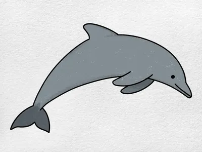 Животные с характером: как в Алматы дельфины лечат детей с особенностями |  Алматинский дельфинарий