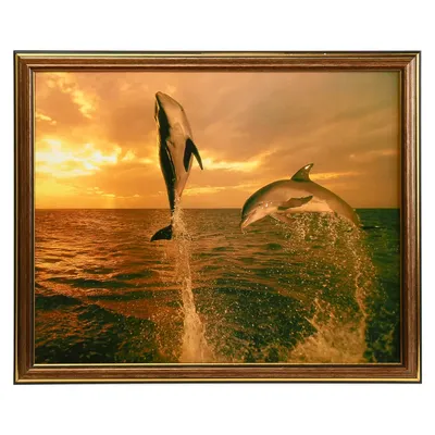 Картина в раме Simaland "Пара дельфинов" 31x38 см по цене 509 ₽/шт. купить  в Пензе в интернет-магазине Леруа Мерлен