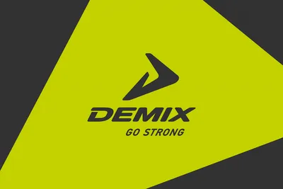 Купить Кроссовки зимние Demix Sprinter Verse М 122424-99 – в интернет  магазине footballstore, цена, фото