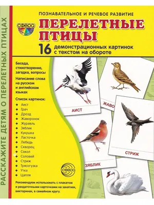 Демонстрационные картинки Супер. Перелетные птицы.16 раздаточных карточек с  текстом - Бук-сток