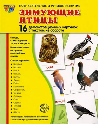 Демонстрационные картины А3 «Зимующие и перелётные птицы» Методический  материал (9410094) - Купить по цене от  руб. | Интернет магазин  