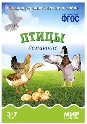Вохринцева Дидактический Материал Перелетные Птицы – купить на OZON по  низкой цене