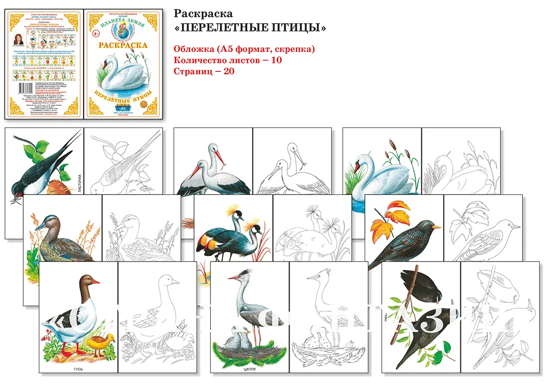 Тематическое планирование тема перелетные птицы. Раскраска "перелетные птицы". Перелетные птицы для дошкольников. Перелетные птицы раскраска для детей. Зимующие птицы задания для дошкольников.