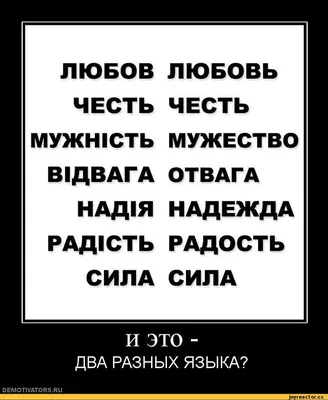 Демотиваторы ❘ 20 картинок от  | Екабу.ру - развлекательный  портал