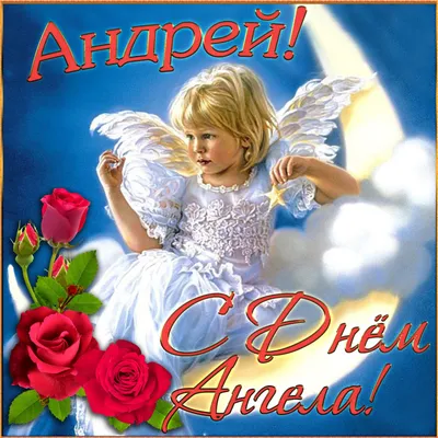 30 ноября - День ангела Андрея - поздравления в прозе и стихах - Lifestyle  24