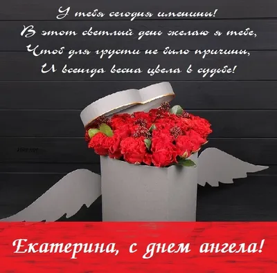 З Днем ангела Катерини: оригінальні привітання з іменинами у віршах,  листівках і картинках — Різне