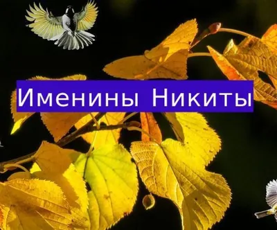 День ангела Никиты 13 февраля – поздравления в открытках, СМС и стихах |  Новости РБК Украина