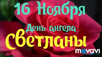 16 НОЯБРЯ ДЕНЬ АНГЕЛА СВЕТЛАН,ПОЗДРАВЛЯЮ НАС СВЕТЛАНЫ С НАШИМ ДНЁМ ,ВС... |  TikTok