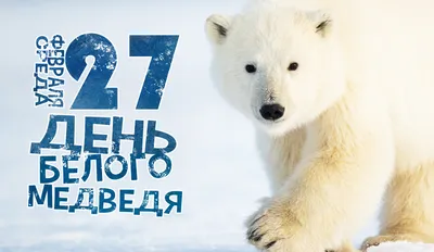 27 февраля – Международный день белого медведя!