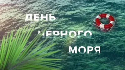 День Черного моря в Сочи отметят экологическими субботниками и спортивными  мероприятиями