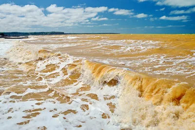 Международный день Черного моря: охрана и защита уникального водоема |  Народный календарь | Дзен