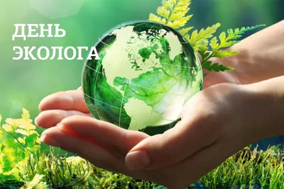 5 июня - День эколога и Всемирный день окружающей среды | Лессорб