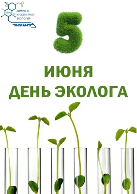 МАДОУ ДС № 56 «Северяночка» - Портал официальных сайтов образовательных  организаций города Нижневартовска - Всемирный день охраны окружающей среды  или День эколога в «Северяночке»