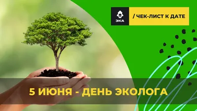 Министерство природных ресурсов Забайкальского края | 5 июня отмечается День  эколога и Всемирный день окружающей среды
