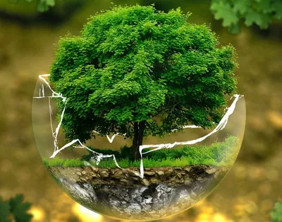 День эколога 5 июня: легкие открытки и поздравления для защитников природы  | Весь Искитим | Дзен