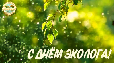 5 июня — День эколога и Всемирный день окружающей среды - ГКУ «Дирекция  особо охраняемых природных территорий Санкт-Петербурга»