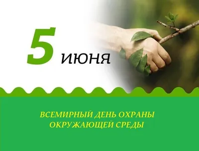 5 июня – Всемирный день охраны окружающей среды и День эколога в России