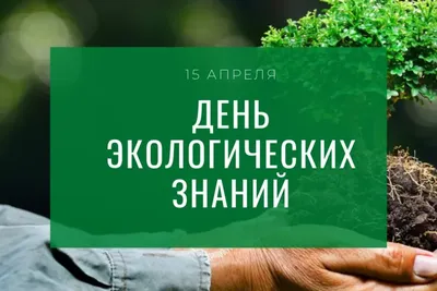 День экологического долга в 2020 году наступит 22 августа - Российская  газета