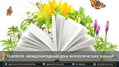 Итоги Всероссийского конкурса на лучшее эколого-просветительское  мероприятие единого дня действий «День экологических знаний» — Новости —  Российская государственная библиотека для молодежи