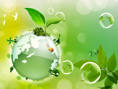 26 января - Всемирный день экологического образования | Экологический  турист | Дзен