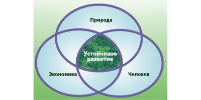 День эколога. Эксперты рассказали о самых важных событиях «экологического»  года • Российское экологическое общество