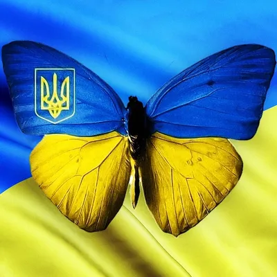 День флага Украины 2022 – картинки и открытки с поздравлениями – видео