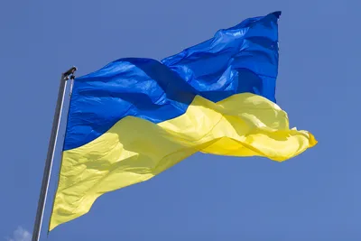С Днем флага Украины - поздравления День Государственного флага Украины -  NEXT SHOES