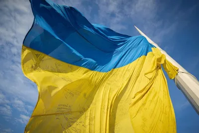 День государственного флага - история и значение флага Украины |  
