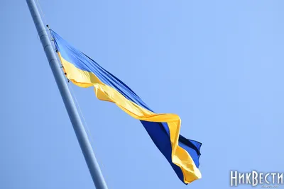 День флага Украины - актуальные новости и публикации | 