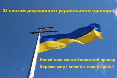 День Флага Украины - как украинские и иностранные политики поздравляют с  праздником - 24 Канал