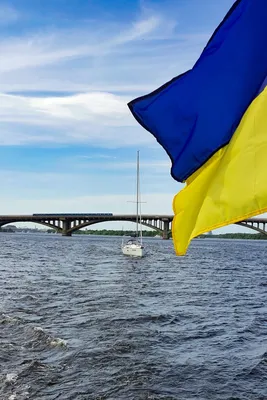 День флага Украины 2023 – картинки и поздравления с праздником 23 августа  на украинском языке - Телеграф