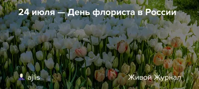 Клевые красивые открытки и стихи в День флориста в России 24 июля для  россиян