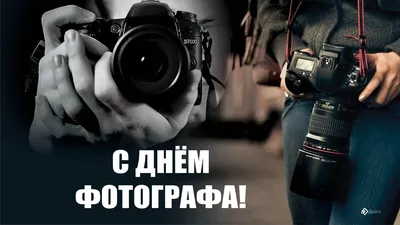 День фотографа | Пикабу