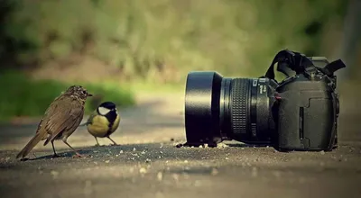 Фотограф: только для тех, кто любит свое дело!» — создано в Шедевруме