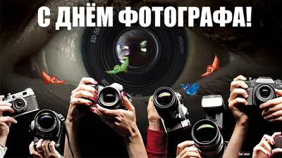 Открытки и картинки в День фотографа  (75 изображений)