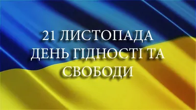 На Донеччині в закладах освіти провели заходи до Дня Гідності і Свободи |  Міністерство освіти і науки України