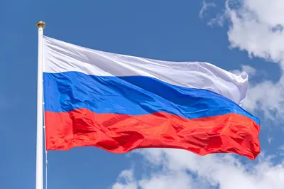 Прими участие в акциях от РДШ в честь Дня флага Российской Федерации!