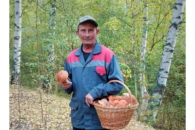 Сезон продолжается". День грибника в Ленобласти отметили боровиками и  лисичками › Статьи › 47новостей из Ленинградской области