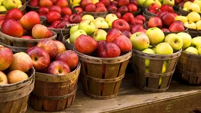 21 октября - День яблока! | Блог Printhit