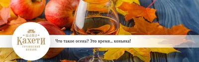 Бокал для коньяка "Не старый, а с выдержкой", 265 мл - купить по низким  ценам в интернет-магазине OZON (228939929)