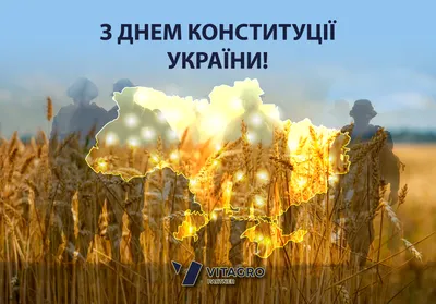 С Днем Конституции Украины! - "АГСОЛКО Украина" - продажа сельхозтехники,  строительной техники, коммерческих и легковых автомобилей, запасных частей