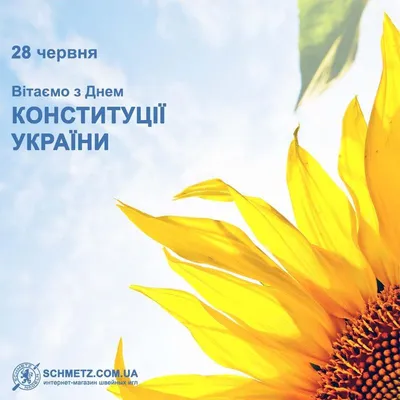 Поздравления ко Дню Конституции 2023 на украинском языке и картинки с Днем  Конституции 28 июня