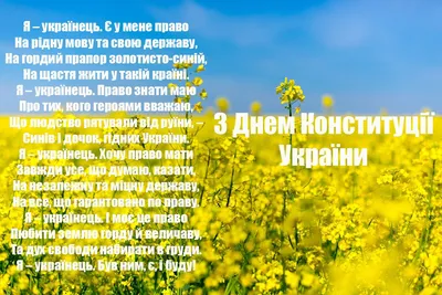 День Конституции Украины. Программа. Дополнено — Анонсы — Официальный сайт  города Одесса