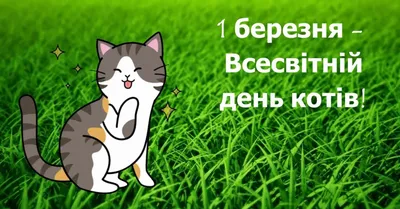 День Открытых Дверей 1 марта. Празднуем всемирный день кошек! | Кот в Окошке