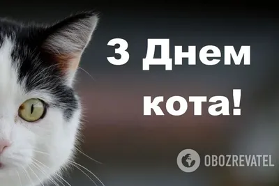 Сегодня - всемирный день кошек!: Новости магазинов в журнале Ярмарки  Мастеров